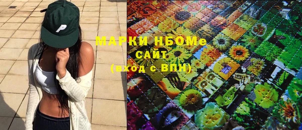 шишки Аркадак