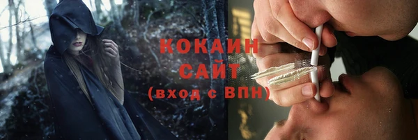 кокс Арсеньев