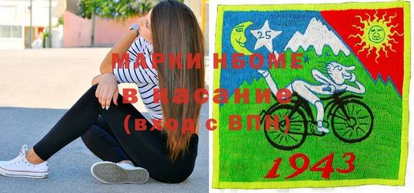 шишки Аркадак