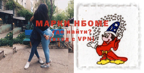 шишки Аркадак
