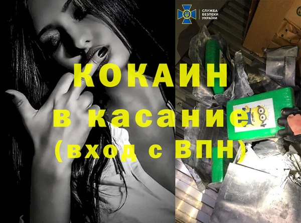 шишки Аркадак