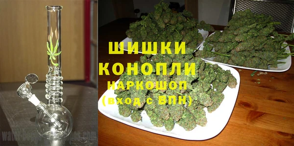 шишки Аркадак