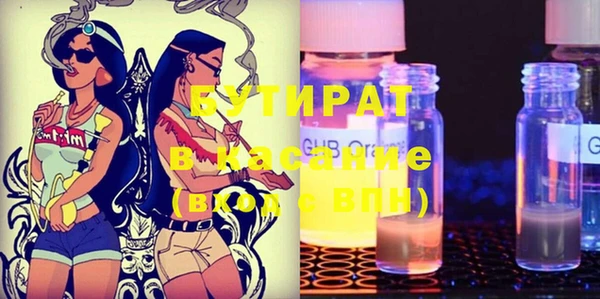 шишки Аркадак
