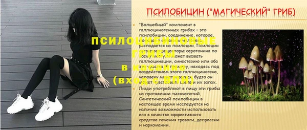 кокс Арсеньев