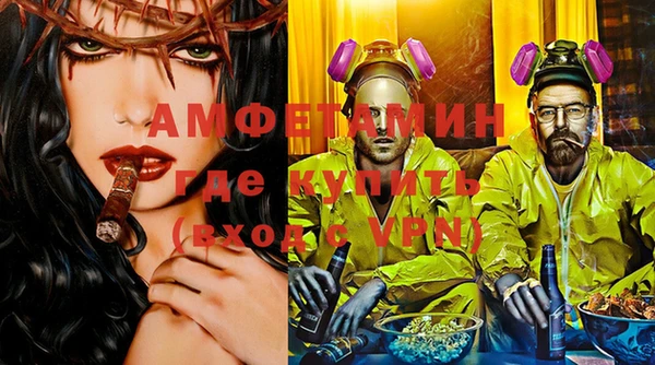 шишки Аркадак