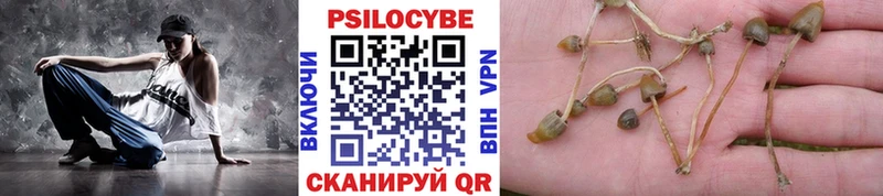 даркнет сайт  Суворов  Псилоцибиновые грибы Magic Shrooms 