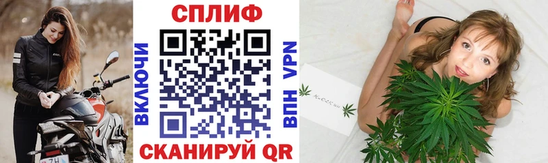 как найти закладки  Суворов  Бошки Шишки ГИДРОПОН 